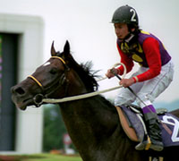 優勝馬ロバリーハート