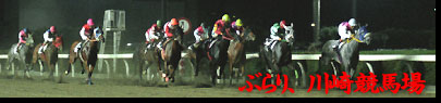 ぶらり、川崎競馬場