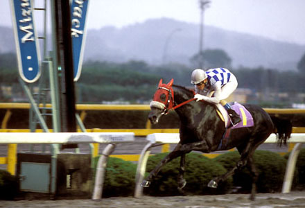 ホマレスターライツ快勝!