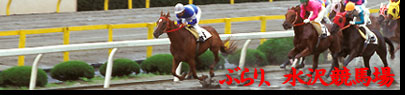 ぶらり、水沢競馬場