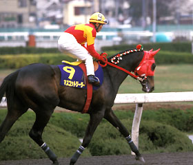 マスコットリーダー
