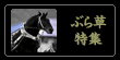Ԃ瑐W