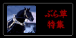 Ԃ瑐W