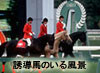 Un̂镗i