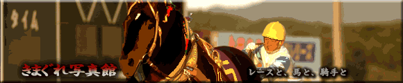 ܂ʐ^