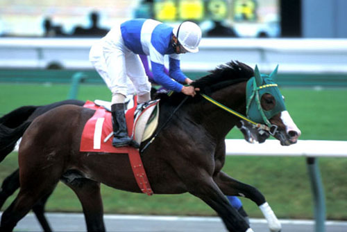 菅原勲騎手のマルブツオー差し切り