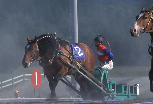 1番人気のコマローレンス(4歳牡馬)が逃げまくる