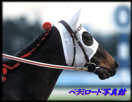 x~[hʐ^