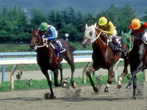 3頭横一線の混戦を制したのは、実力馬ワシュウジョージ
